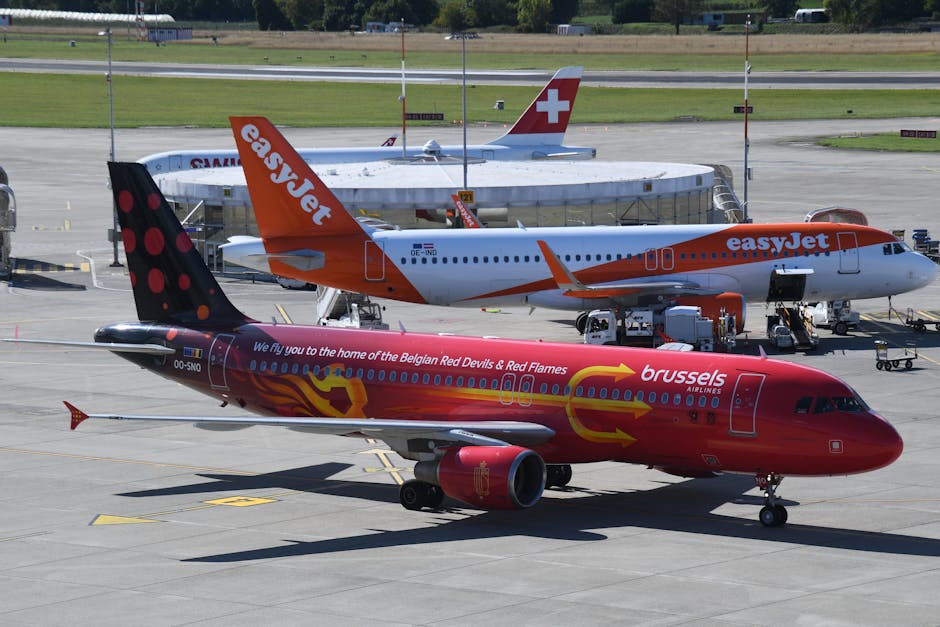 Hotels near Brussels Airport — Brussels Airlines plane on the runway with Belgian livery