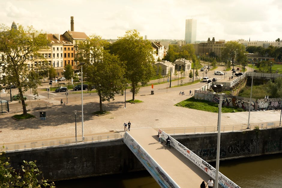 Sainte-Catherine Brussels guide — best aerial view of cityscape featuring bridge buildings and trees