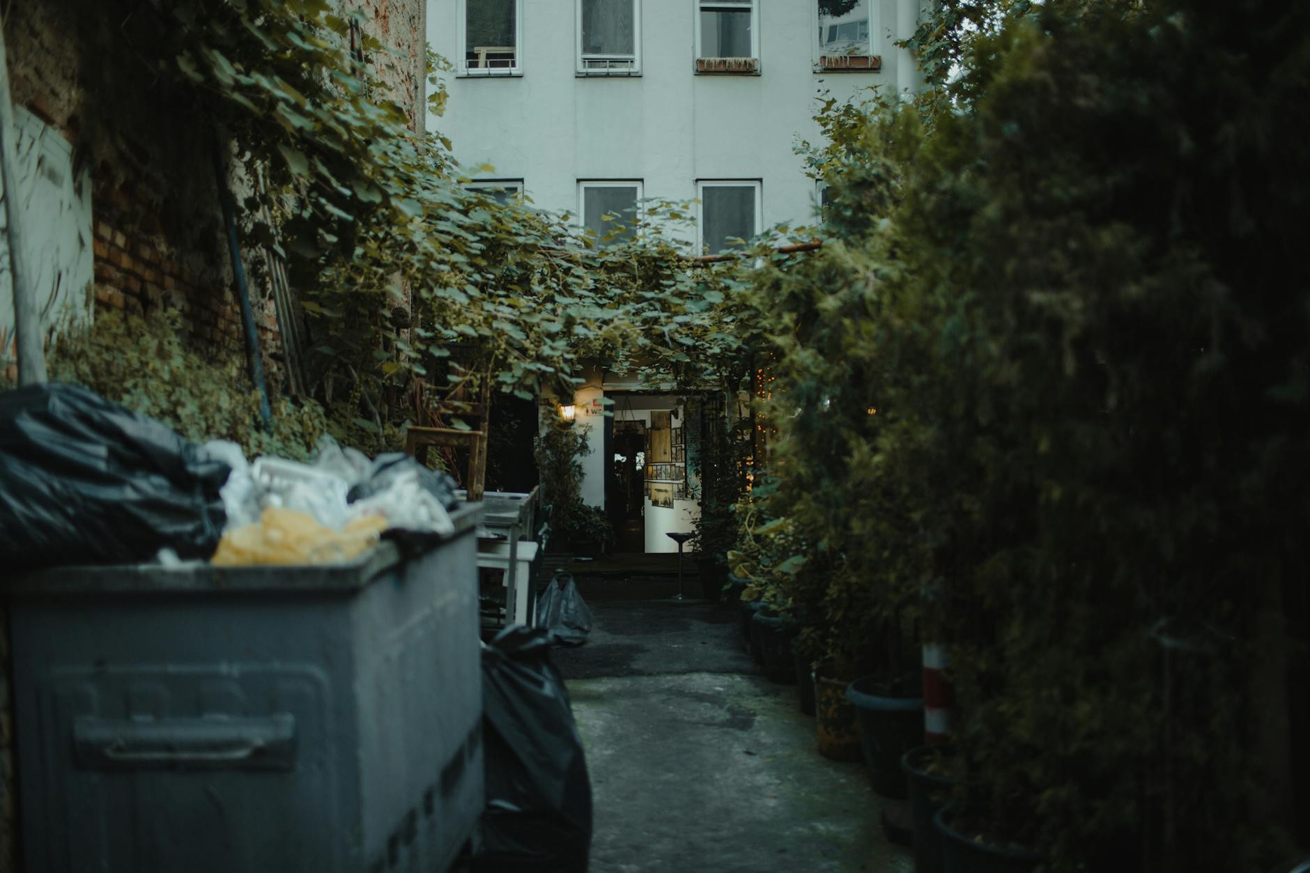 A hidden courtyard passage in Brussels revealing secret local spots