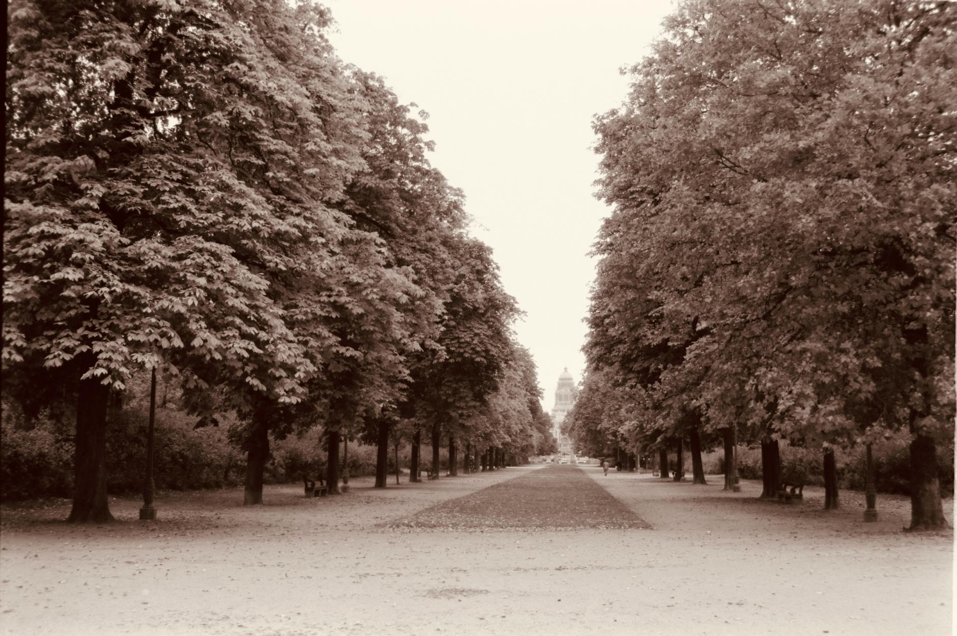 People walking through a green park in Brussels on a sunny day