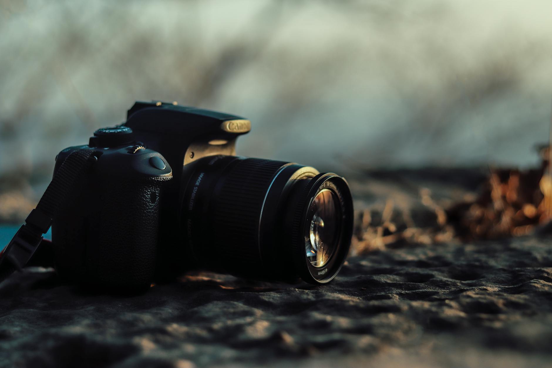 Camera equipment ready for a photography session during golden hour