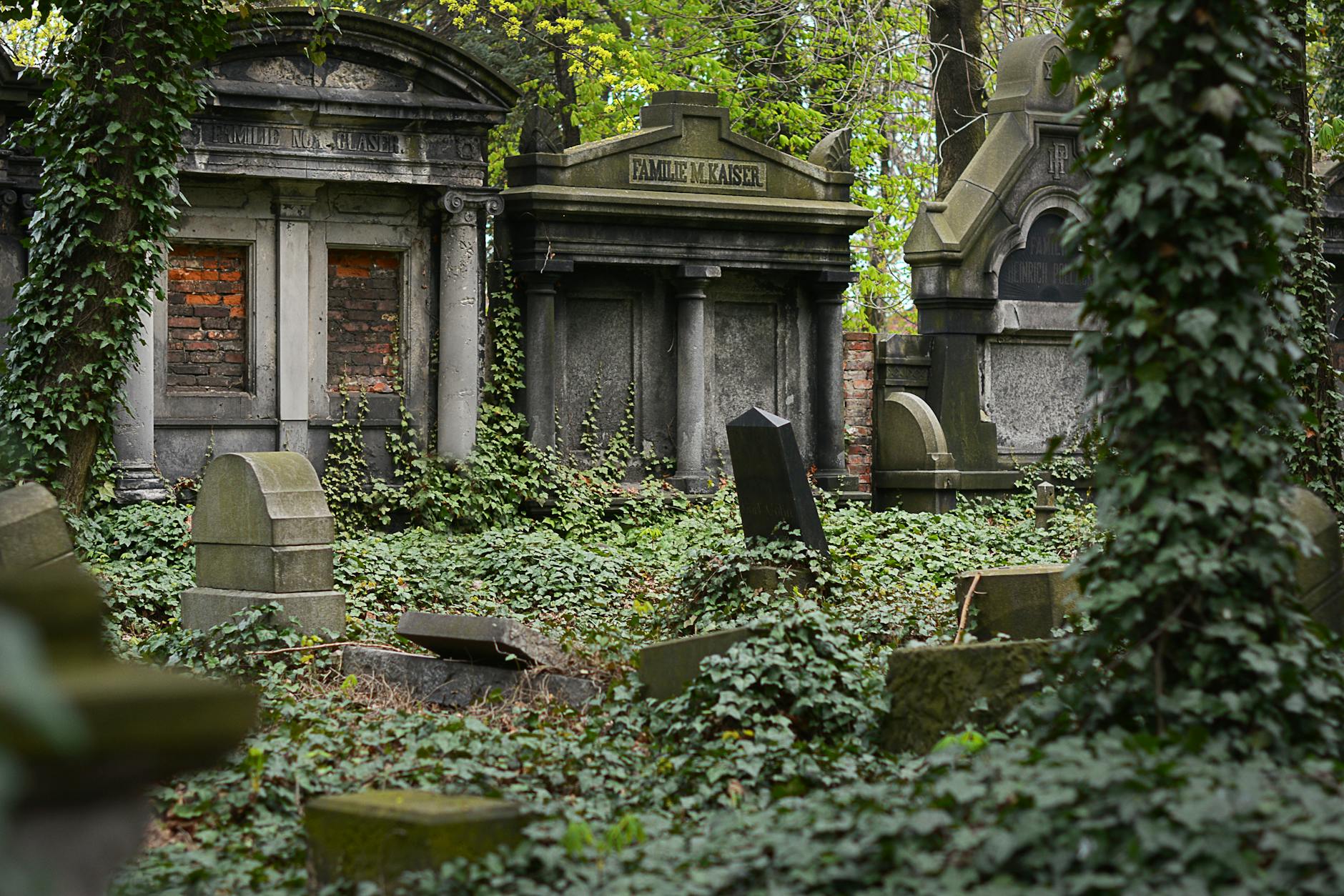 An overgrown abandoned cemetery with moss-covered tombstones reclaimed by nature