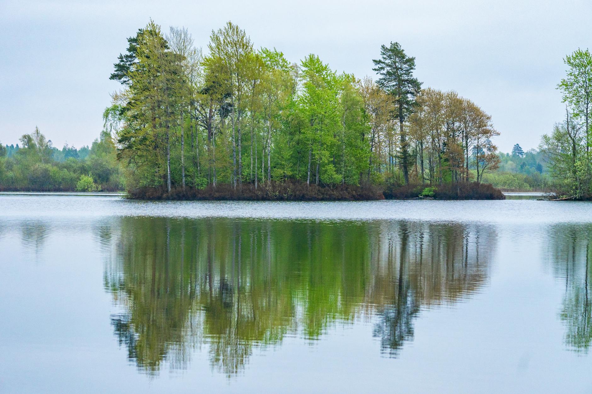 A tranquil island cafe on a lake surrounded by trees