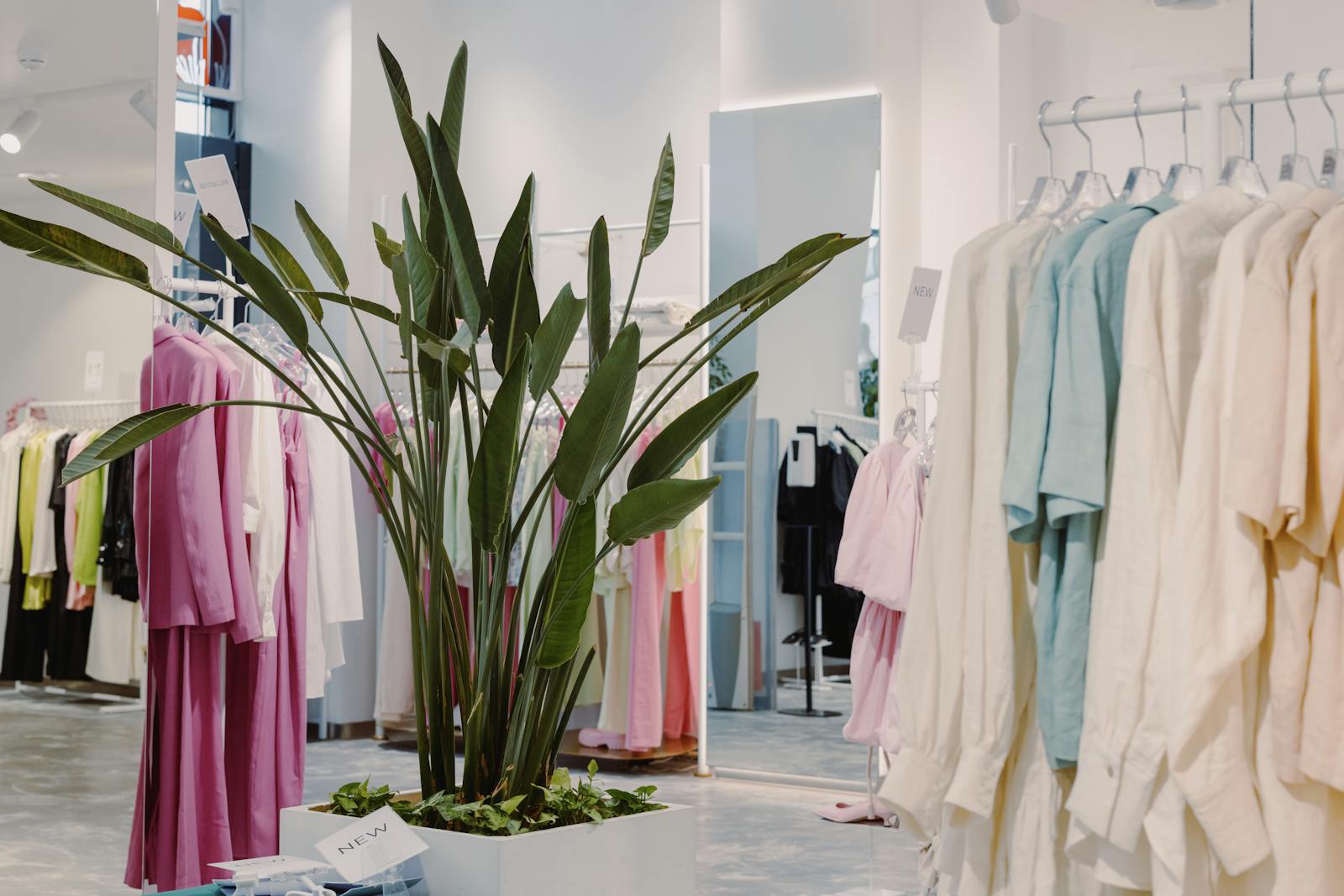 Brussels fashion designers shops — best Belgian designer atelier with elegant clothing on display racks and stylish interior