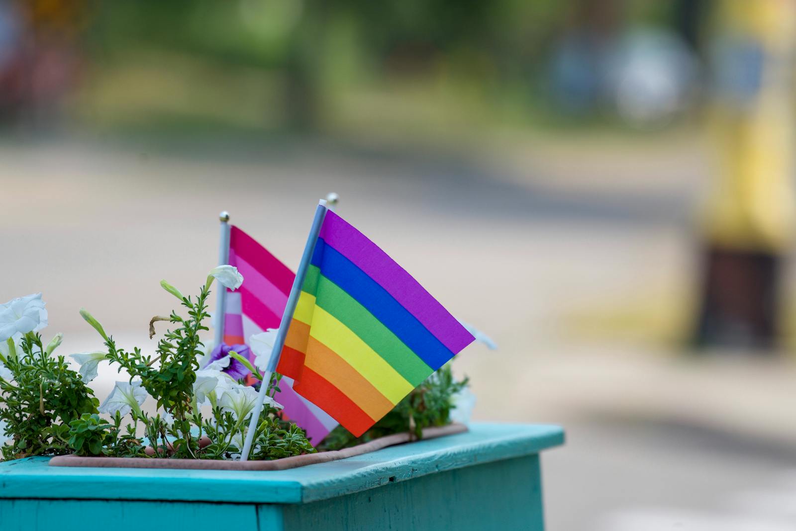 Brussels LGBTQ nightlife — vibrant rainbow and pride flags among blooming flowers symbolizing diversity