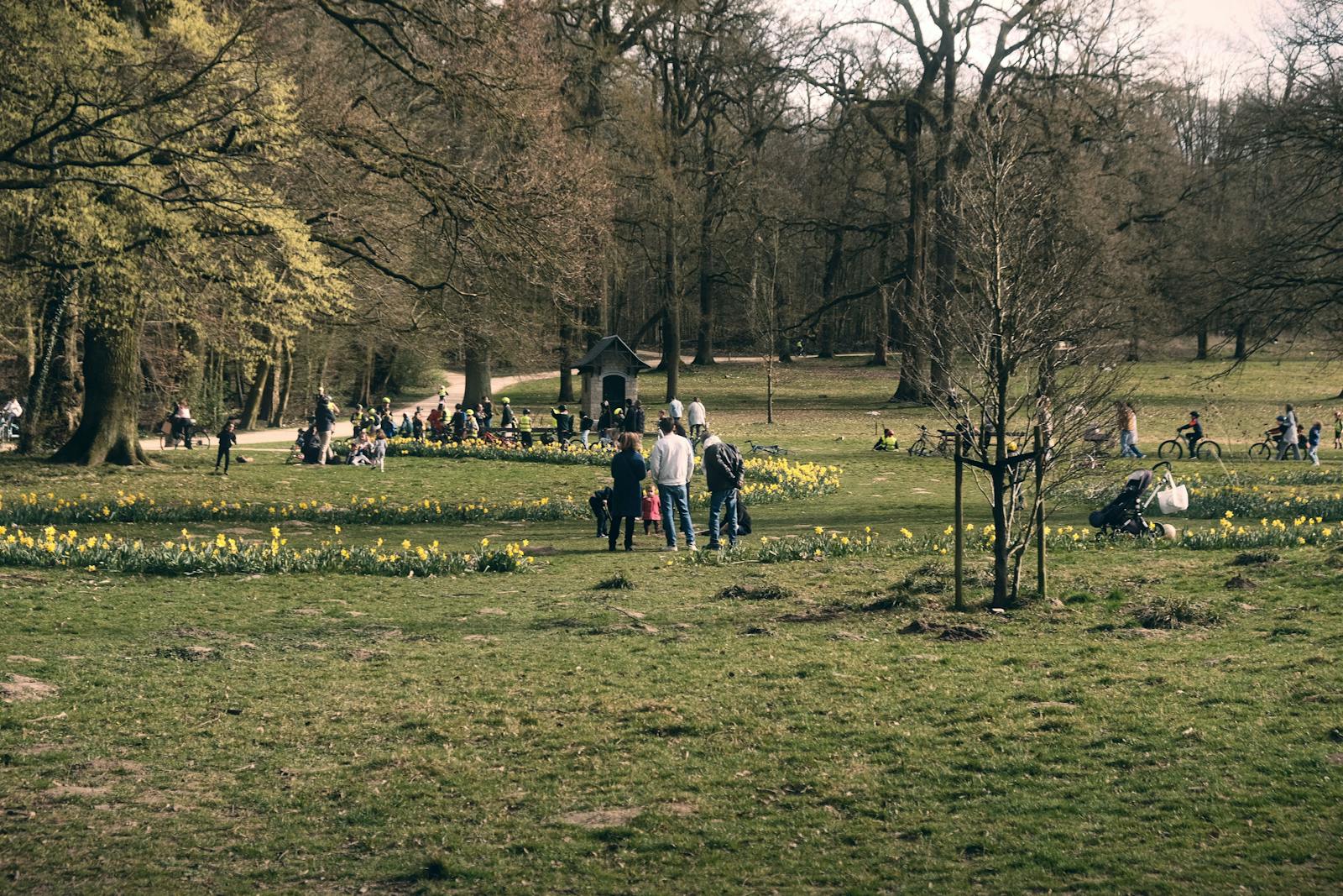 Brussels parks playgrounds kids — best Brussels park with families enjoying green space and children playing on playground equipment