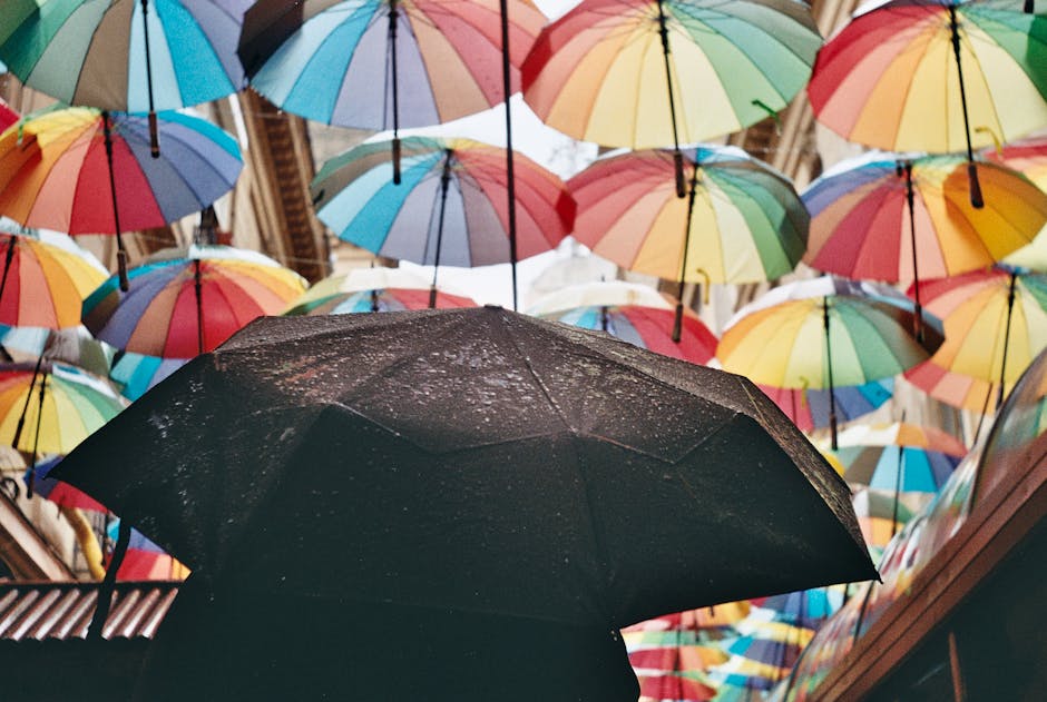 Brussels Weather Month by Month: Best Climate Guide (2026)