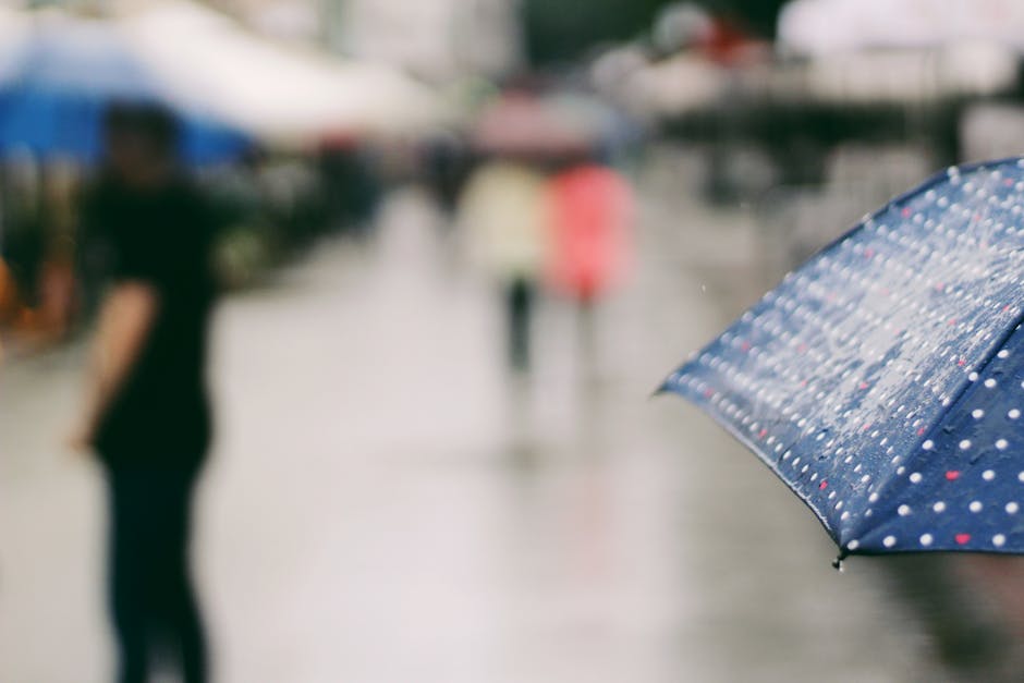 Brussels weather month by month — best blurred city street scene with focus on polka-dotted umbrella in the rain