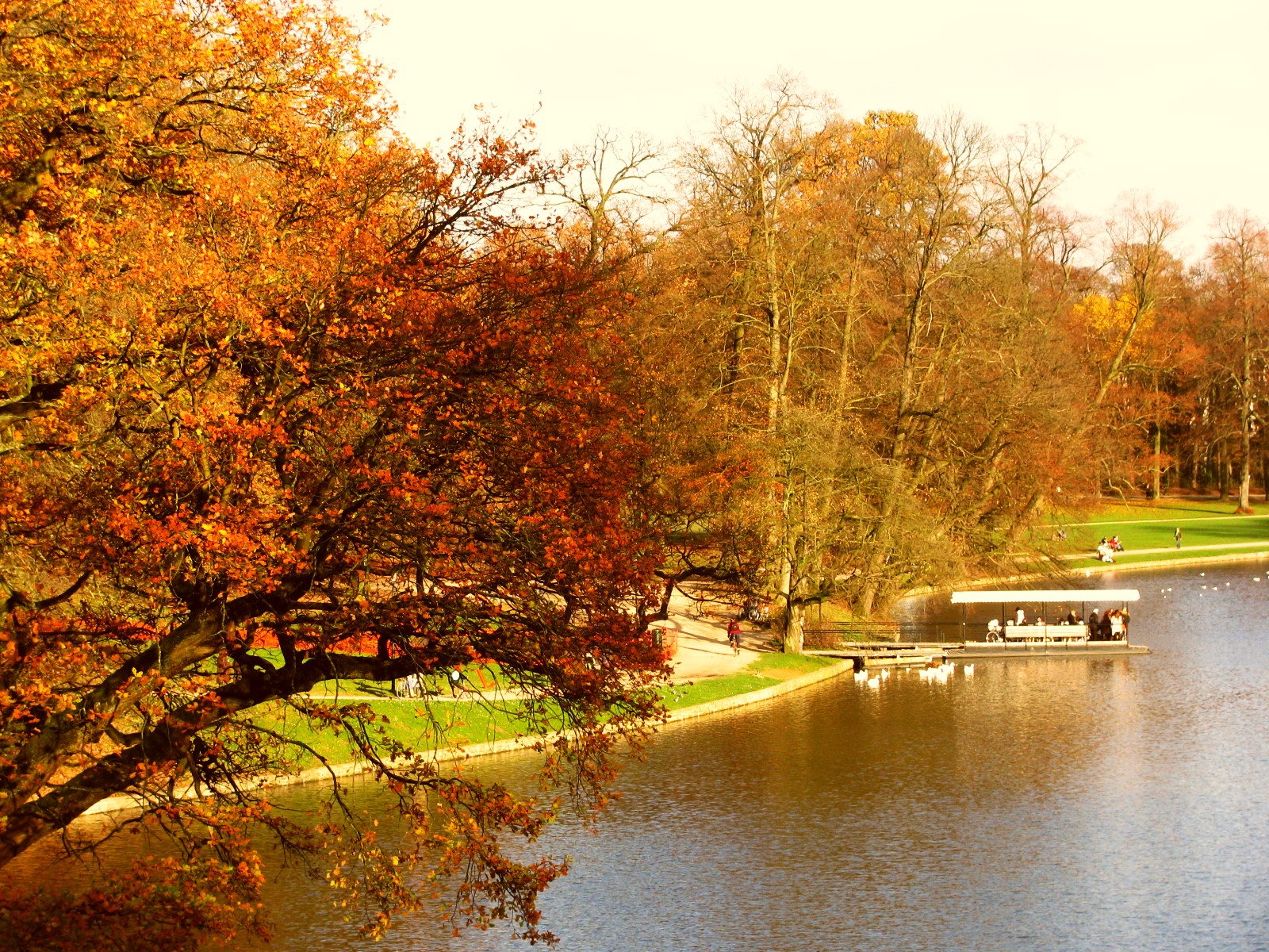 Autumn colour along the lake in the Bois de la Cambre in Brussels