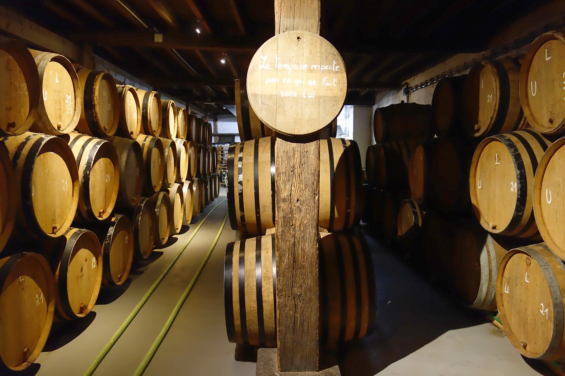 Rows of stacked wooden barrels in the dim cellar at Cantillon brewery, with a maxim painted on a barrel head