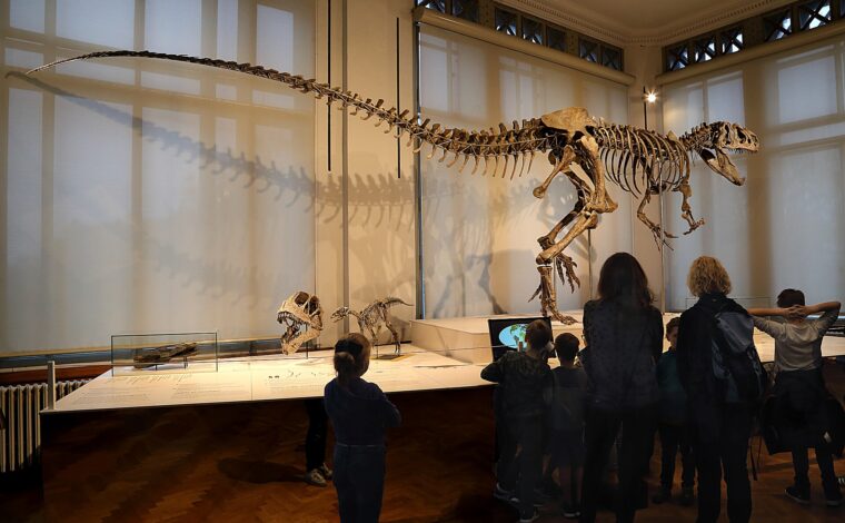 Adults and children view the Arkhane dinosaur skeleton and smaller fossils at the Museum of Natural Sciences in Brussels.