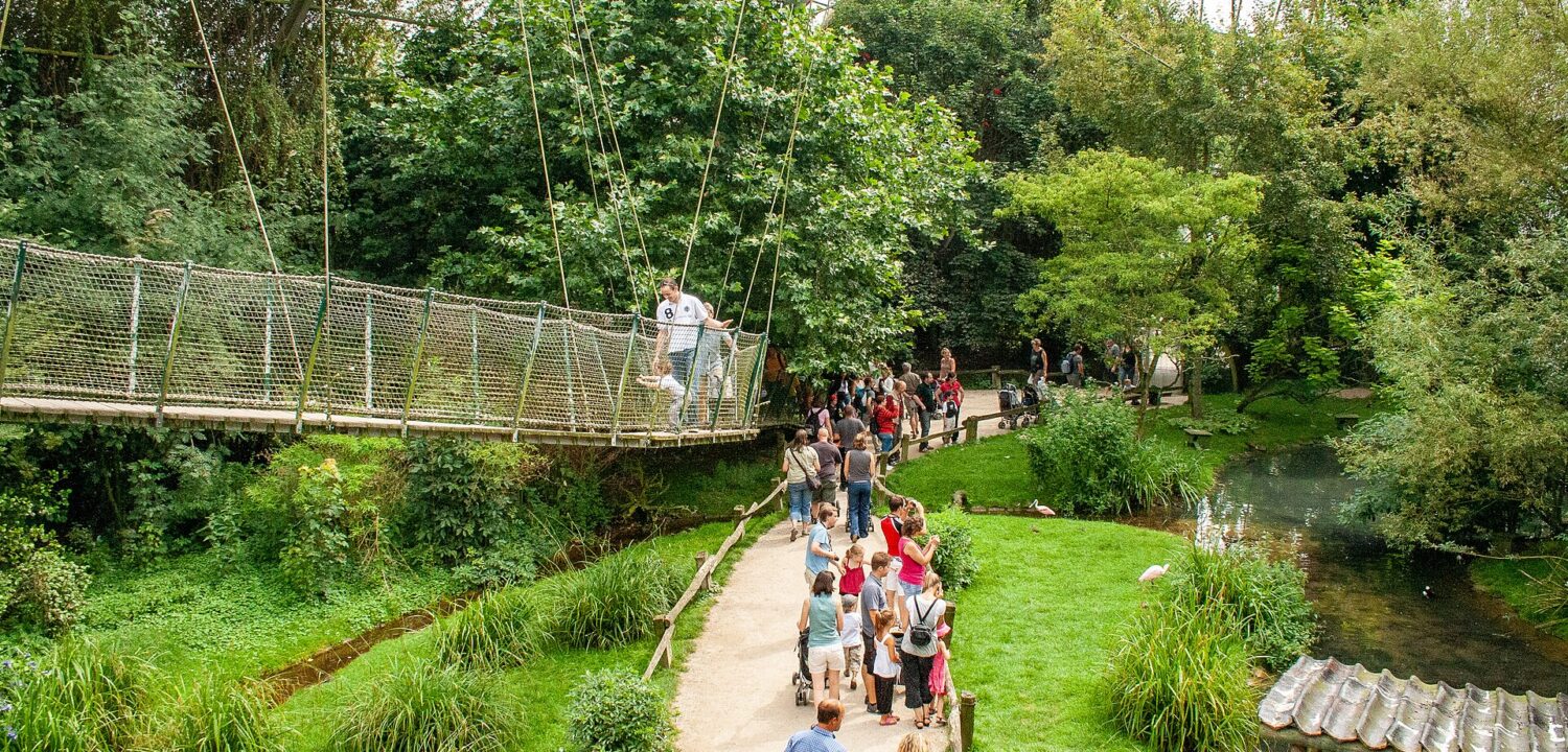 Families walk beside birds and water at Pairi Daiza in Belgium, while an adult and child cross a suspended rope bridge.