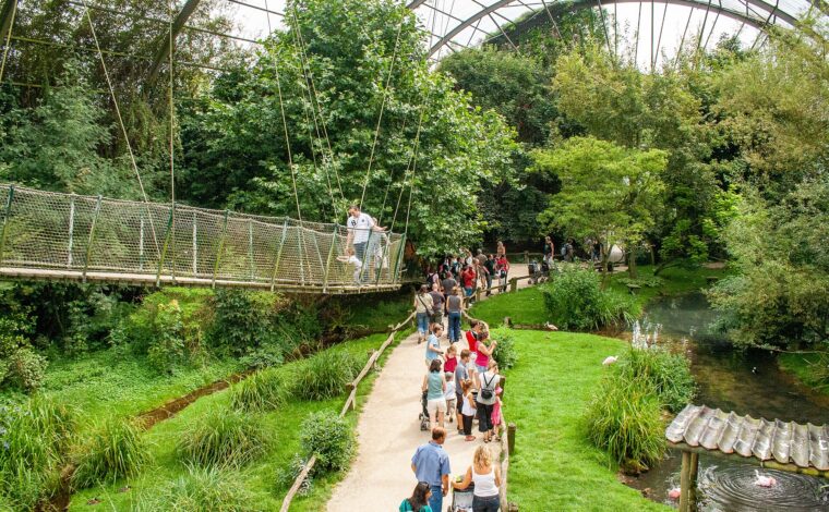 Families walk beside birds and water at Pairi Daiza in Belgium, while an adult and child cross a suspended rope bridge.