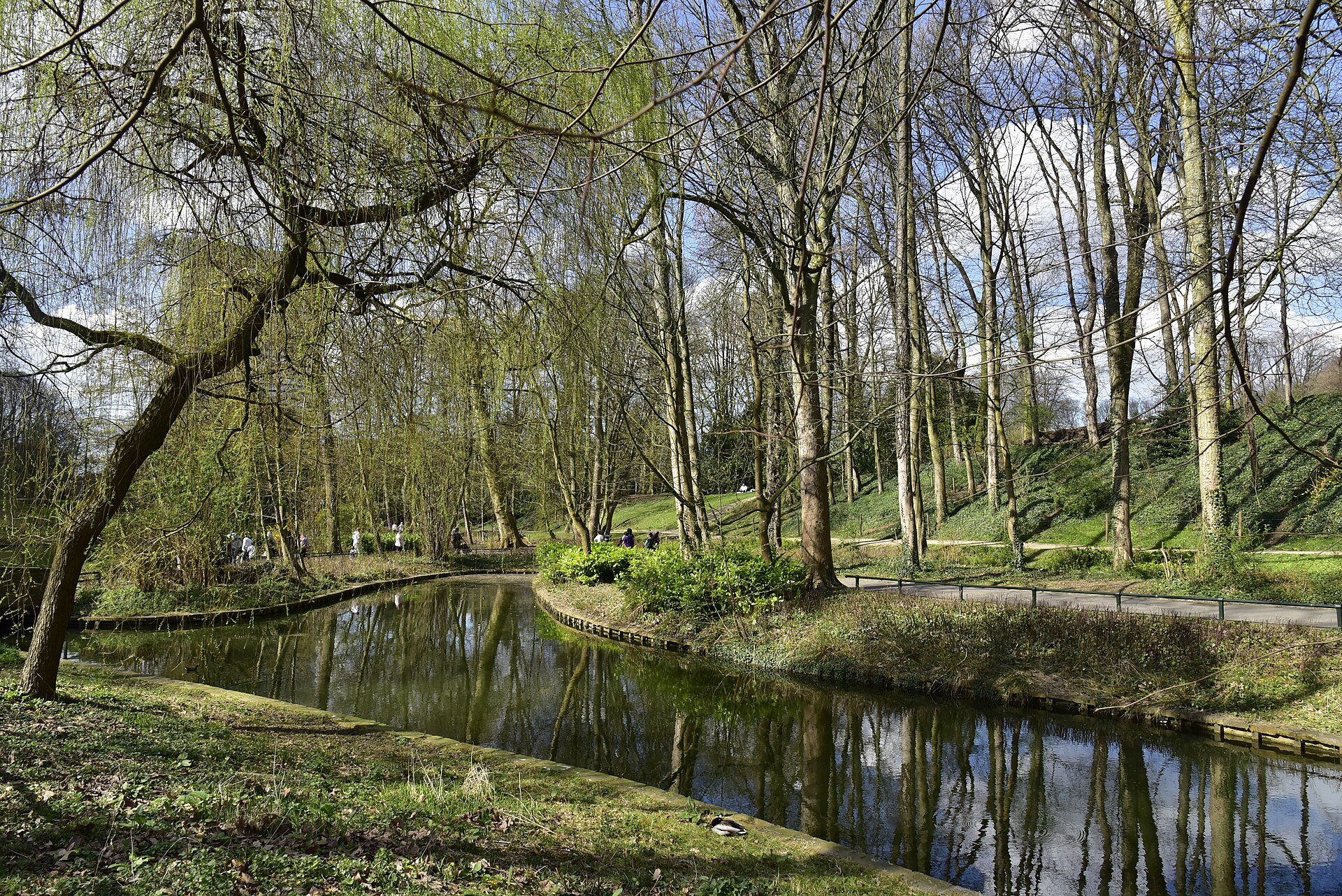 Fresh willow leaves hang above a reflective pond in Brussels’ Josaphat Park, with walkers following paths beneath the trees.
