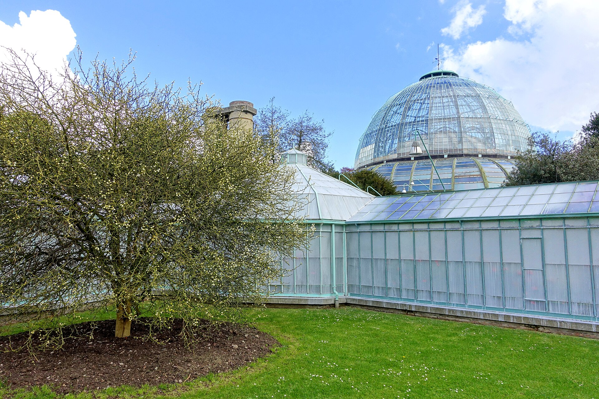 The glass dome of the Royal Greenhouses of Laeken rises above lower galleries and a green lawn in Brussels.