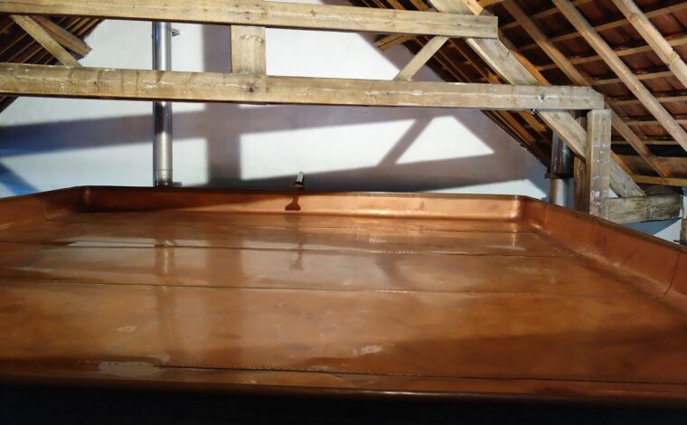 A shallow copper coolship sits beneath exposed wooden roof beams at Cantillon brewery in Anderlecht, Brussels.